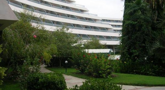 THE GRAND BLUE